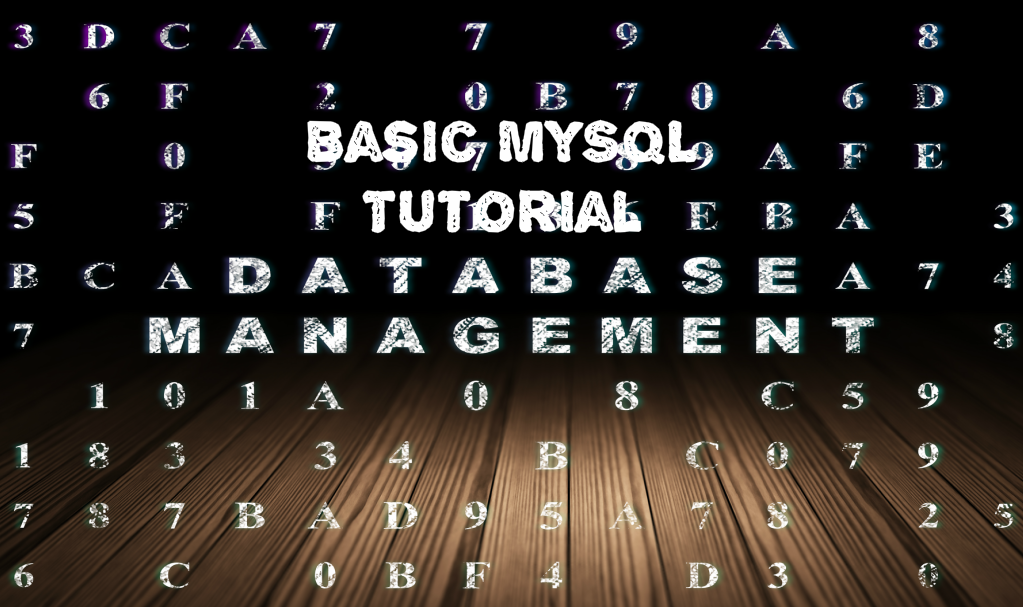 How to use MySQL - The Basics