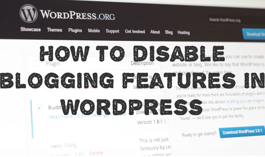 How to disable blogging features in WordPress