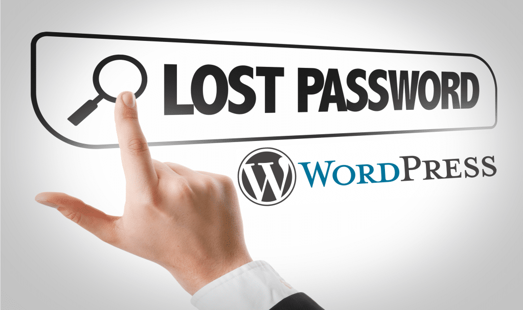 What to do if you have lost a WordPress Password