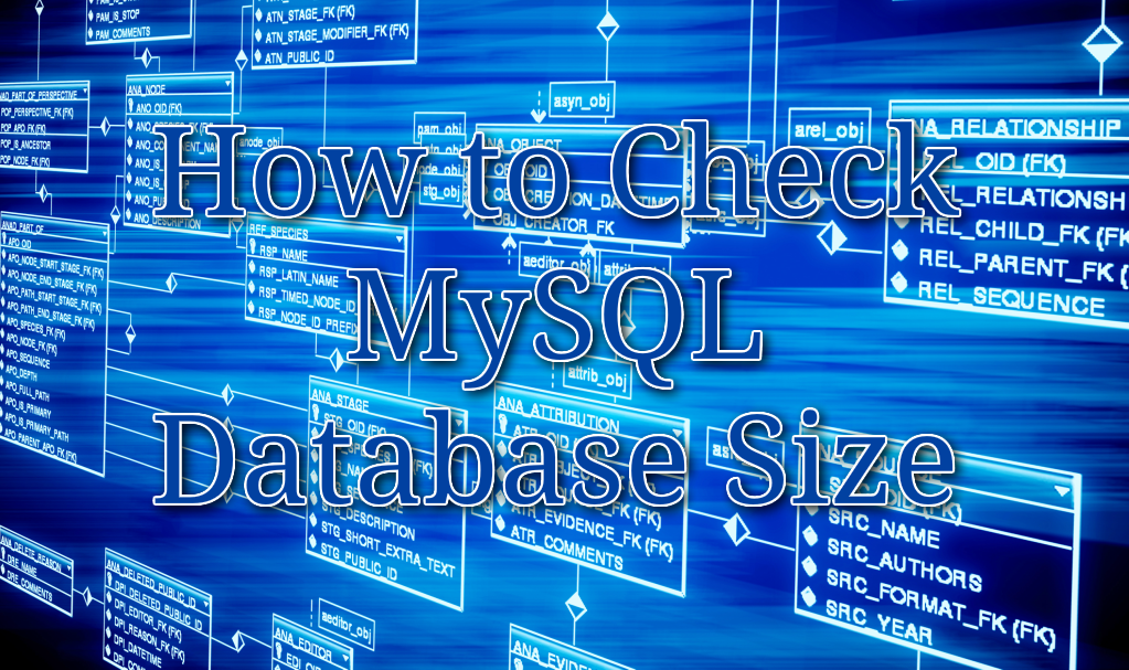 How to Check MySQL Database Size